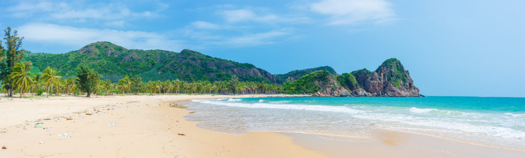 secluded tropical beach turquoise transparent water palm trees,